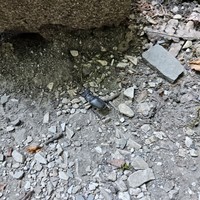 Фото отзыва 1: экскурсия "В краю дольменов и водопадов"
