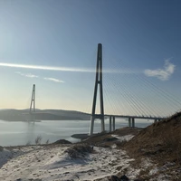 Фото отзыва 2: экскурсия "Трансфер из аэропорта + бухты Владивостока"