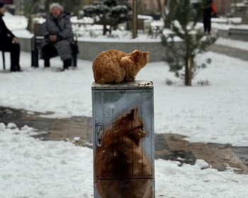 Курортное побережье: Янтарный, Светлогорск, Зеленоградск