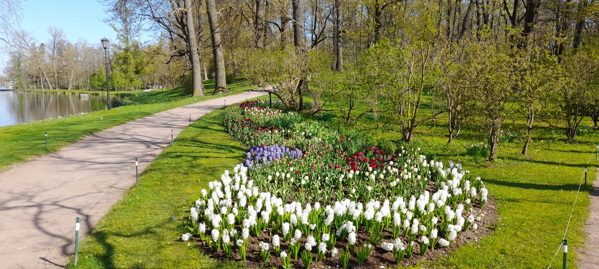 Гатчина: от императорской резиденции до столицы Ленинградской области (9/13)