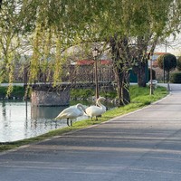 Фото отзыва 2: экскурсия "Гостеприимная Верхняя Балкария: путешествие в мини-группе из Пятигорска"