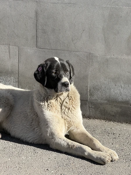 отличная экскурсия!