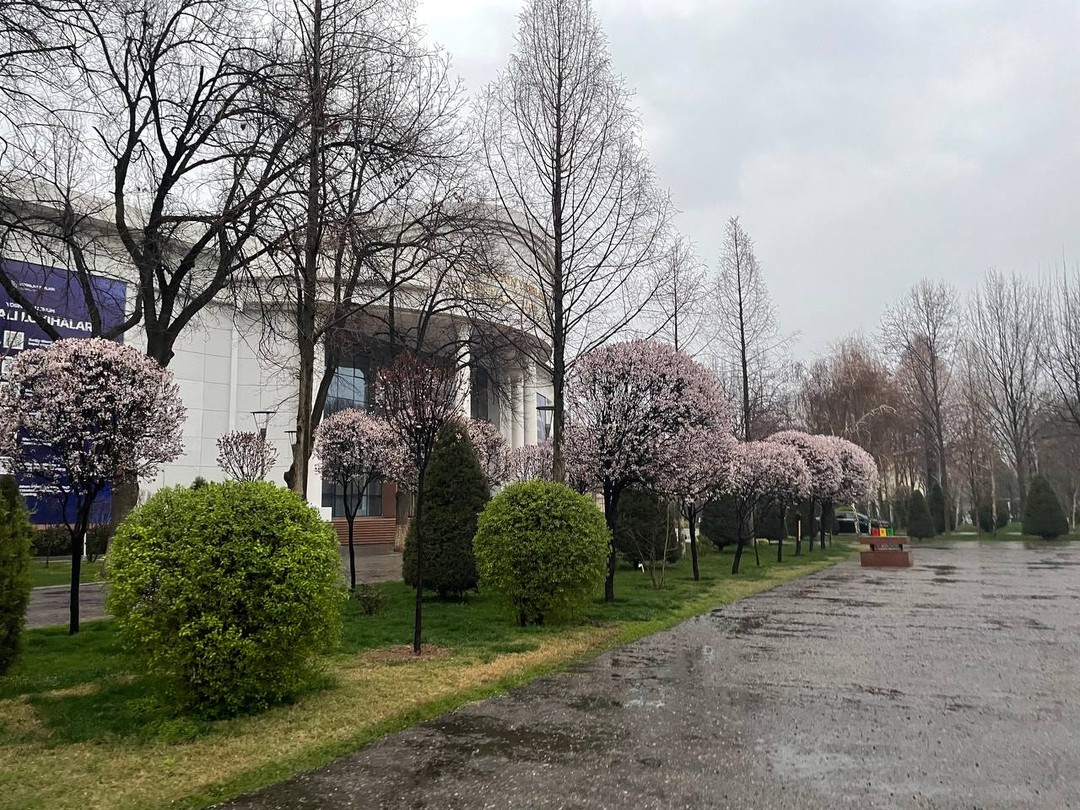 Прогулка прошла под проливным дождем, но было очень интересно и информативно!