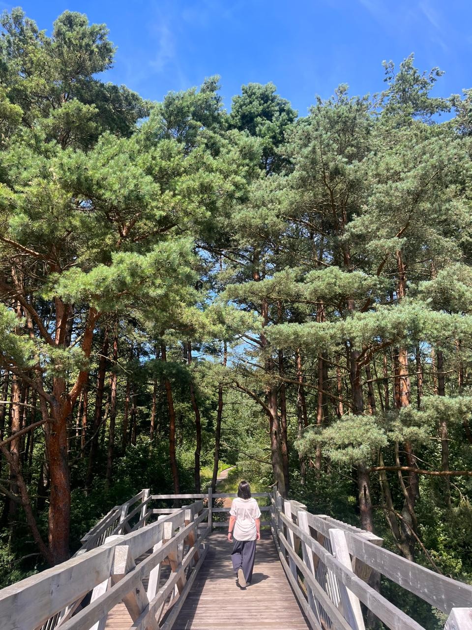 Куршская коса в вашем ритме (Любовь)