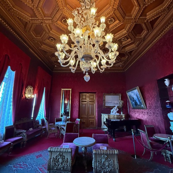 Экскурсия по Владимирскому дворцу - Дому учёных