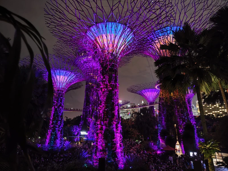 отличный экскурсовод, давно живёт в Сингапуре, хорошая речь, показала нам Сингапур с точки зрения историка, живущего тут