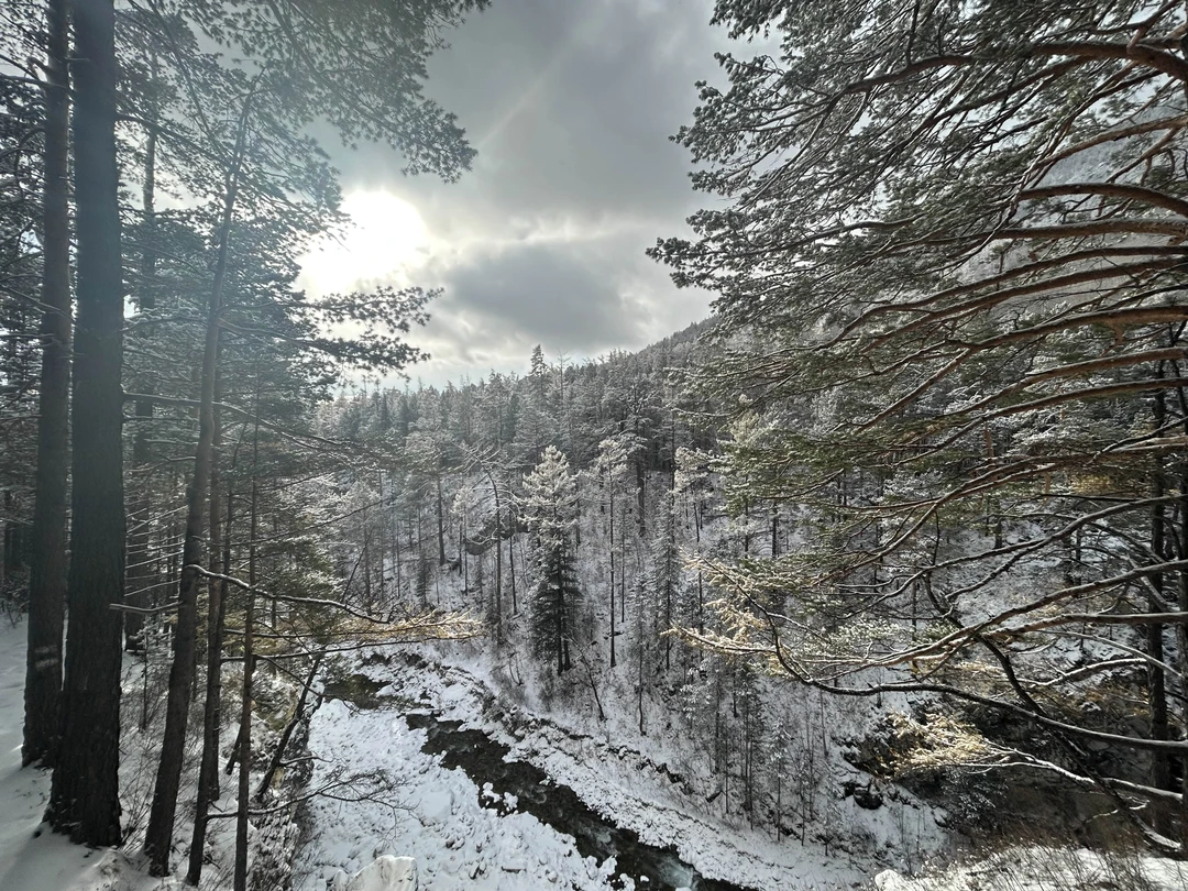 Из Иркутска - в Аршан, к подножию сибирских Альп (Ольга)