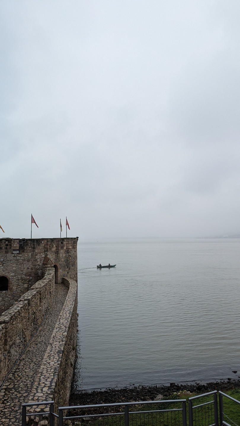 Саша - отличный гид! Вежливый, образованный, с чувством юмора. Рассказал множество интересных вещей про историю Сербии