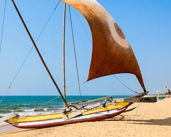 Фото отзыва 1: авторский тур "Всё, что нужно увидеть на Шри-Ланке: гранд-тур по must-see-локациям, активный отдых и пляжный релакс"