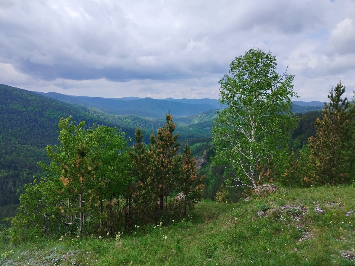 Фото Треккинг по восточной части Торгашинского хребта