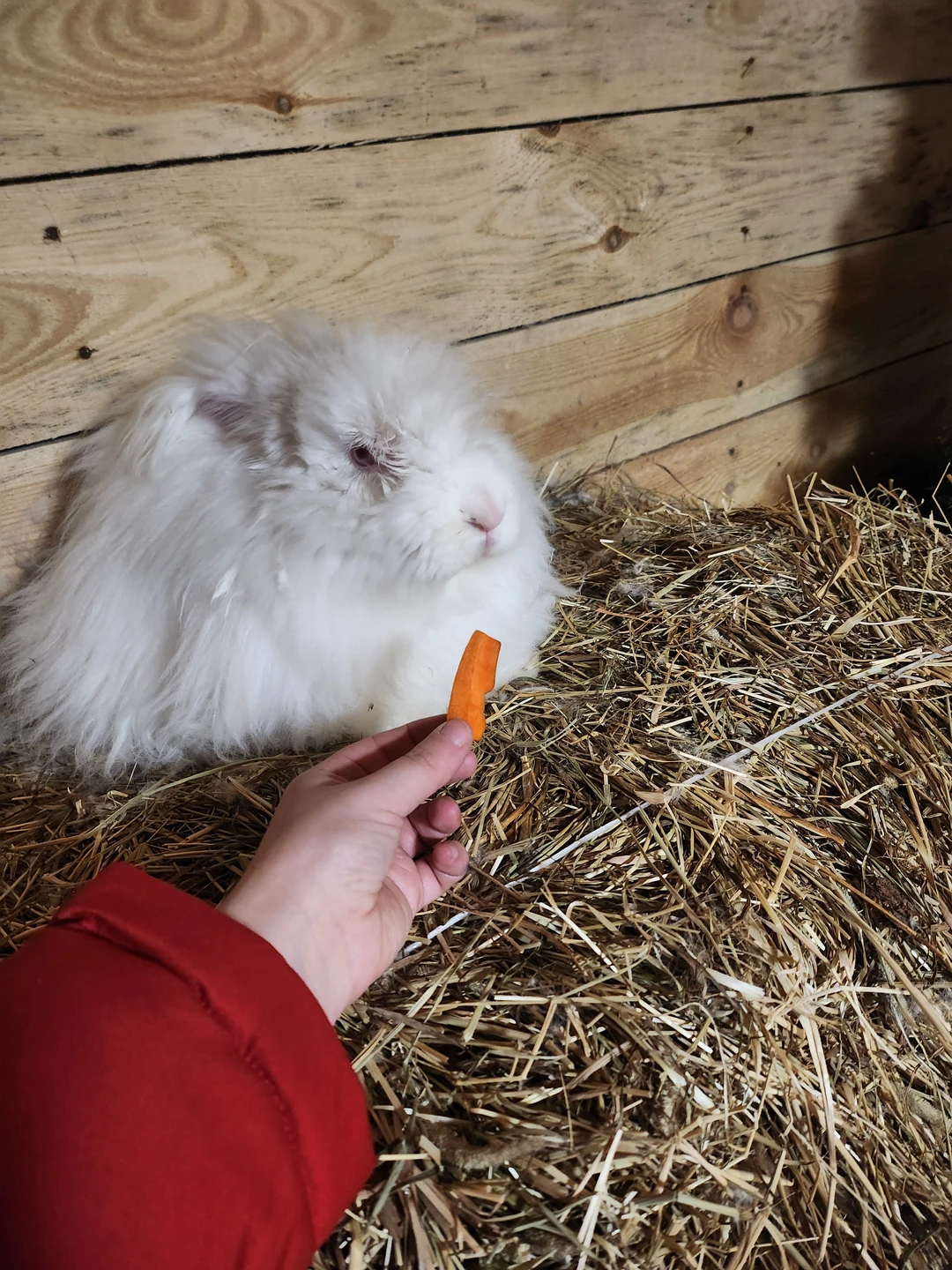 Замечательный мастер-класс. Очень приветливая и милая хозяйка ❤️ настолько все легко и чётко объяснено было, что