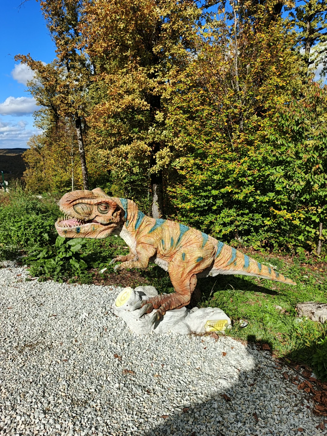 Изначально бронировала другую поездку, но потом сказала что хочу побывать в Горячем ключе, Андрей любезно согласился