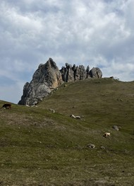 Фото отзыва 3: экскурсия "Чудеса Азербайджана"