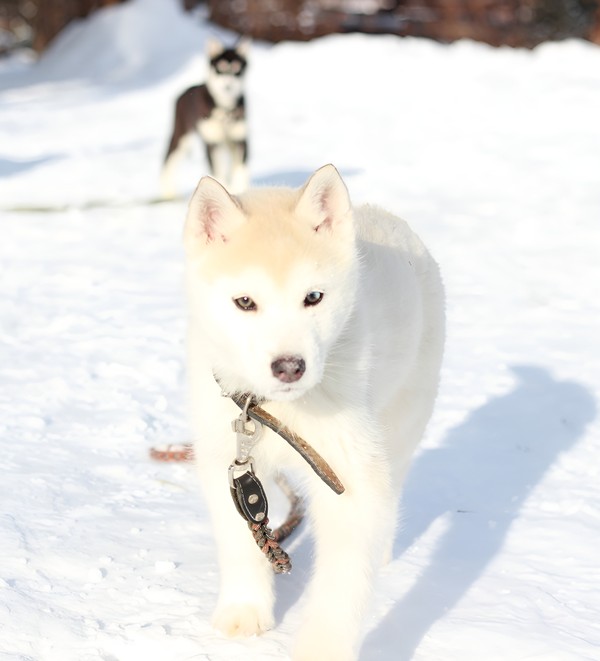 Магия уральской зимы: из Челябинска в Кусу