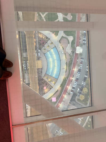 Дубай и Абу-Даби за 1 день (Viktoriia)