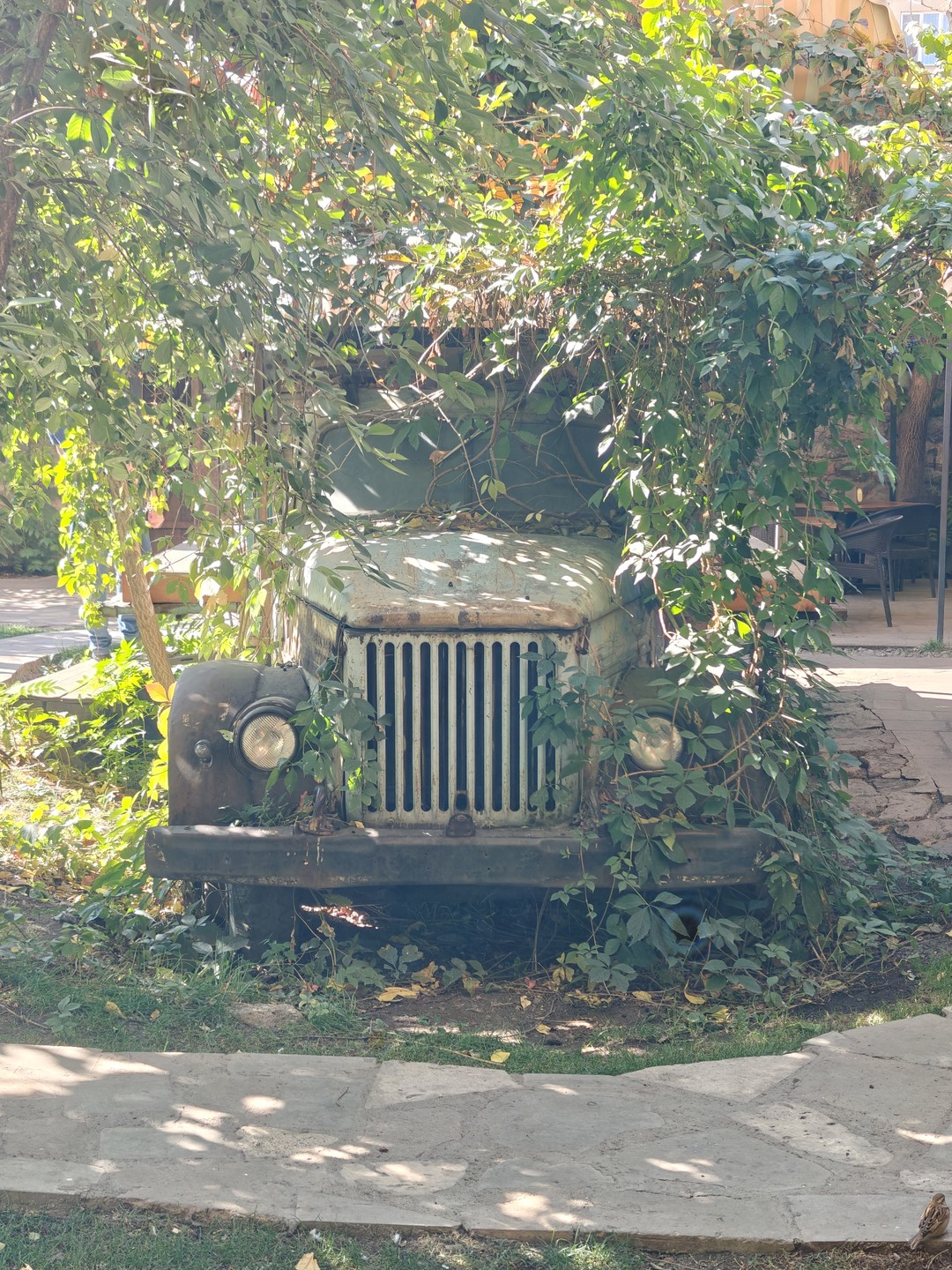 Другой Ереван: особняки, мечети и андеграунд (Дмитрий)