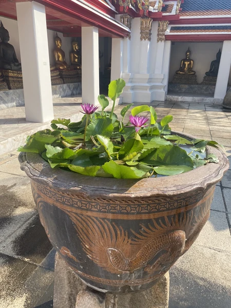 все прошло отлично! нас даже забрали из отеля)) мы посетили три храма как было и описано