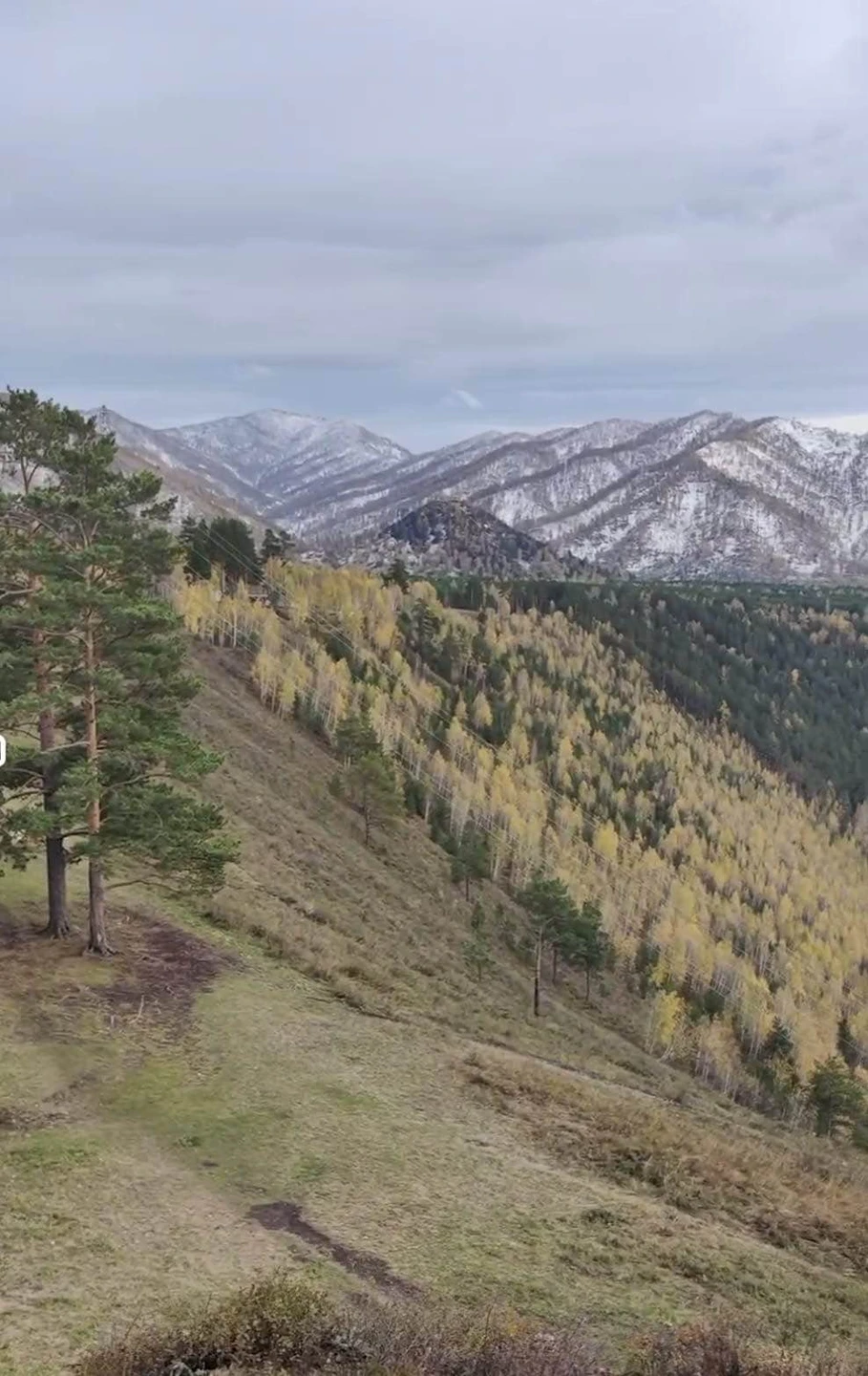 Мария, спасибо большое за экскурсию! Замечательный экскурсовод, приятный в общении, нам было легко и весело путешествовать
