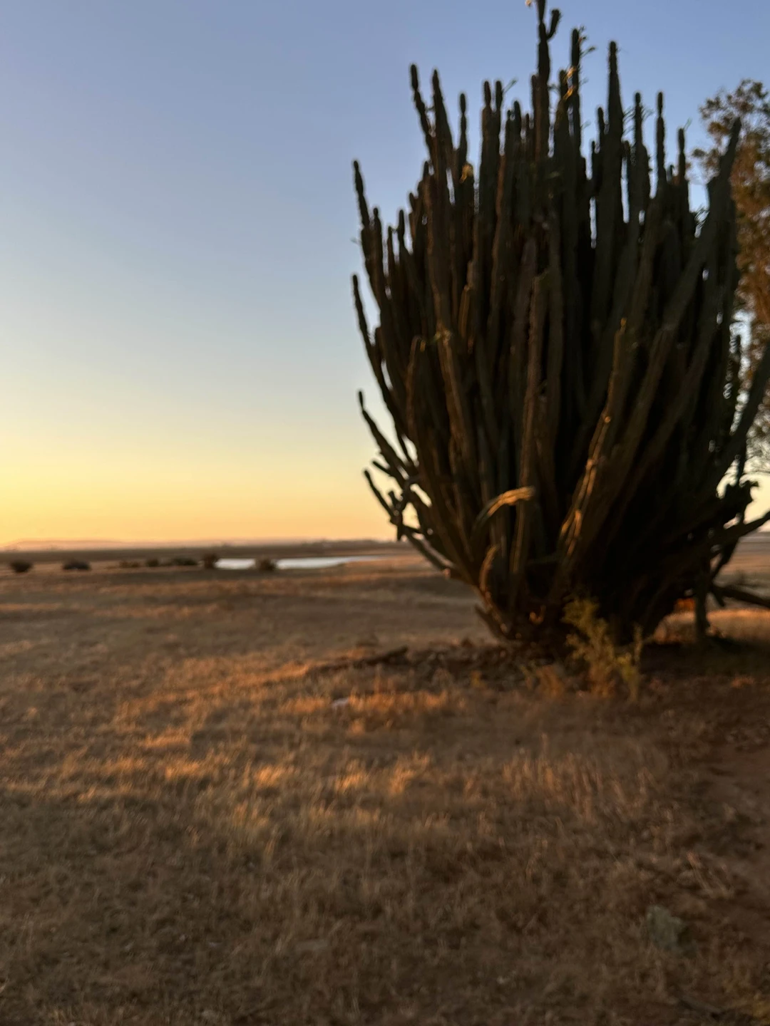 Константин, Виктор и Алексей!