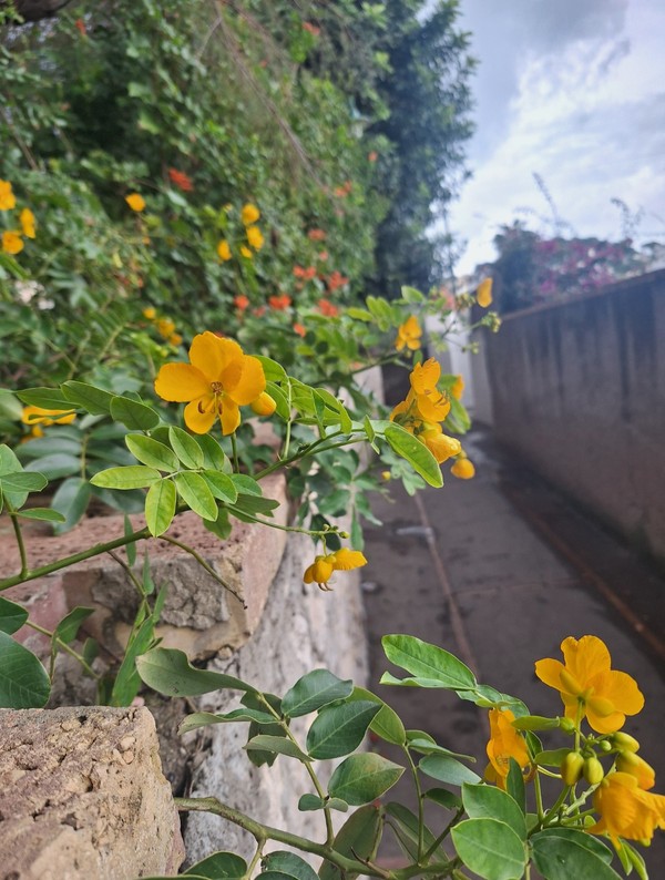 Райский остров Капри: путешествие из Неаполя