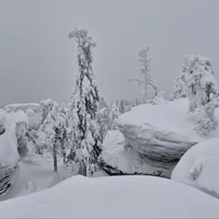 Фото отзыва 1: экскурсия "Живое сердце тайги: из Перми — к Усьвинским столбам"