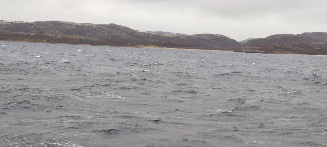 Спасибо, все было отлично наш гид-водитель Николай очень внимательный и приятный, все было душевно, машина чистая,