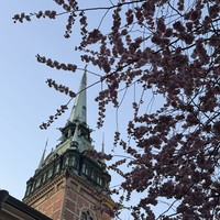Отзыв о экскурсии "Стокгольм: истории, тайны и загадки Старого Города" — фото 3