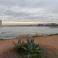 Фото отзыва 3: экскурсия "Французский стиль на африканском побережье: экскурсия по Касабланке"