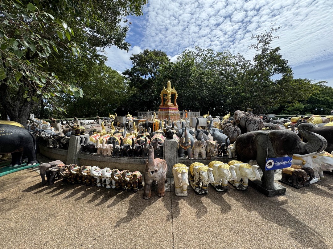 Я хочу поблагодарить за невероятно увлекательную, познавательную и интересную экскурсию по южной части острова Пхукет. За