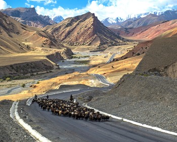 Встреча рассвета, возвращение в Ош и кулинарный мастер-класс