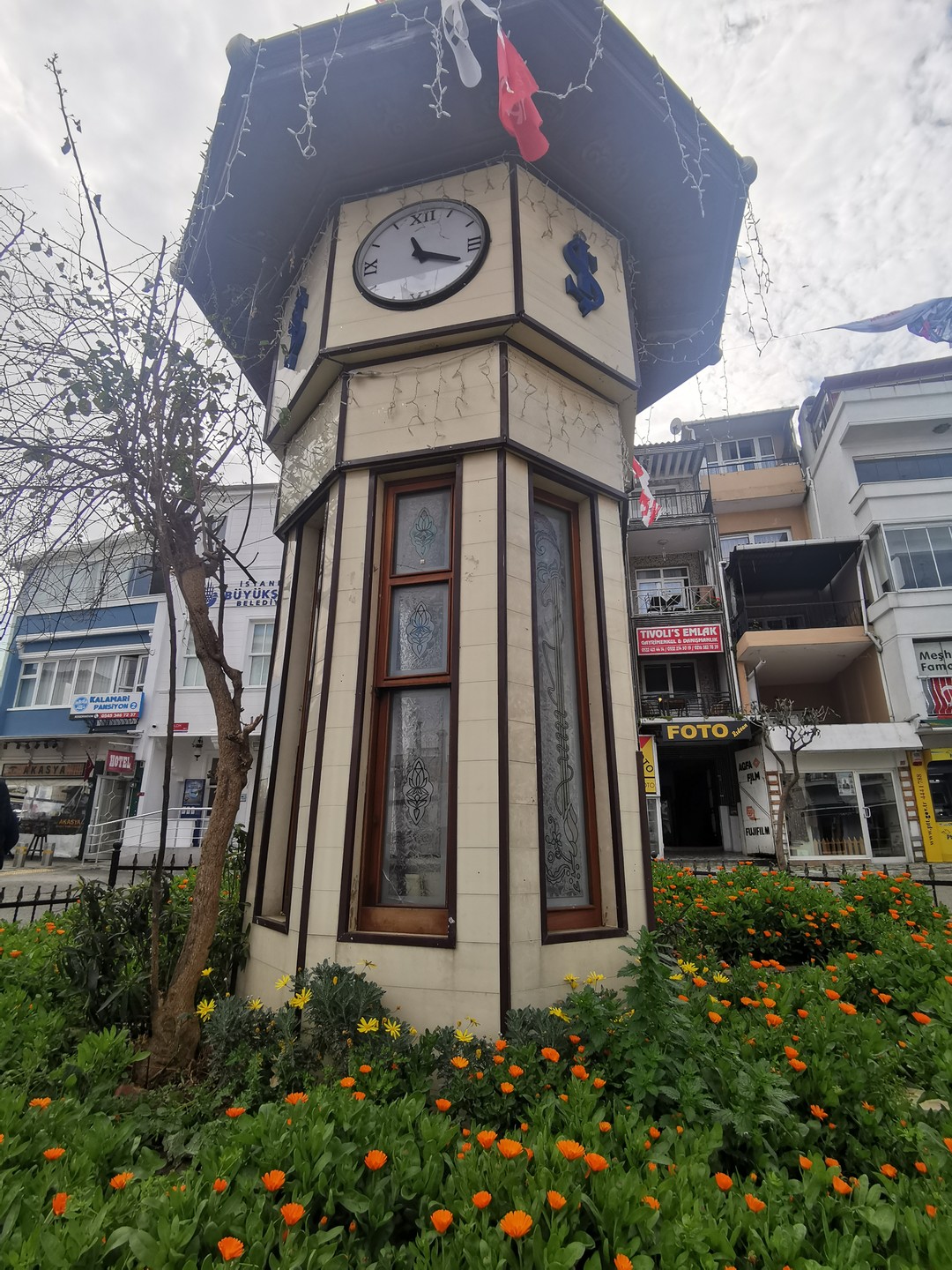 Король Принцевых островов (Ольга)