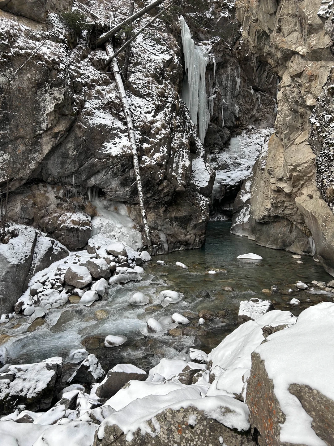 Определенно стоит того, чтобы ехать🔥
