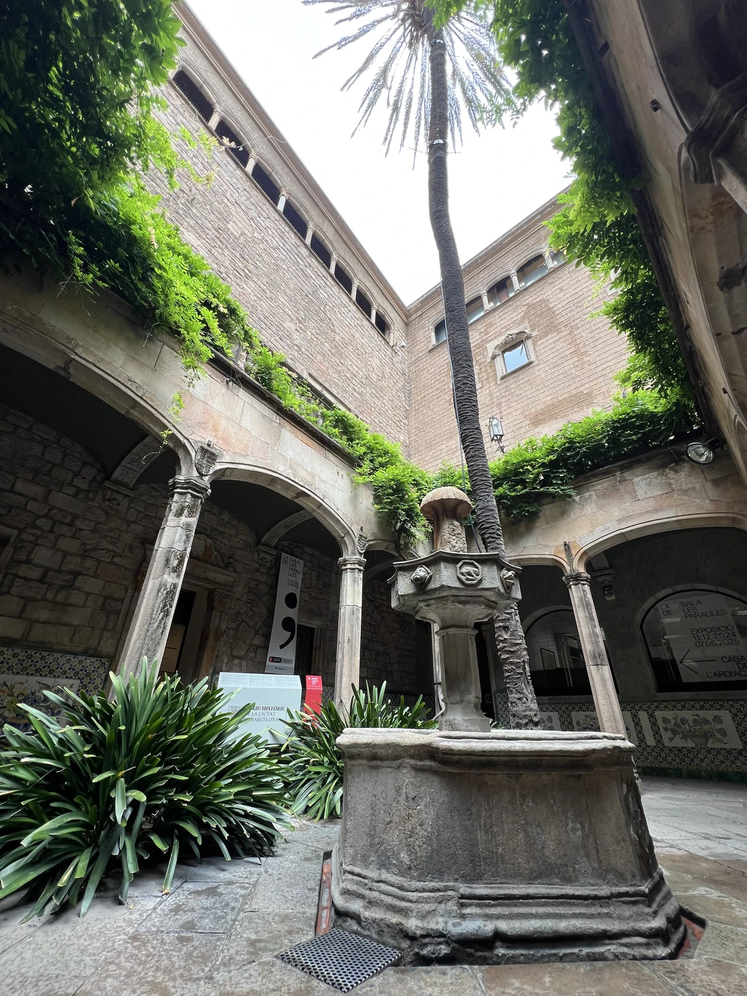 Благодарим Александра, за волшебную презентацию Барселоны❤️, а также за проявленную помощью в решении наших вопросов