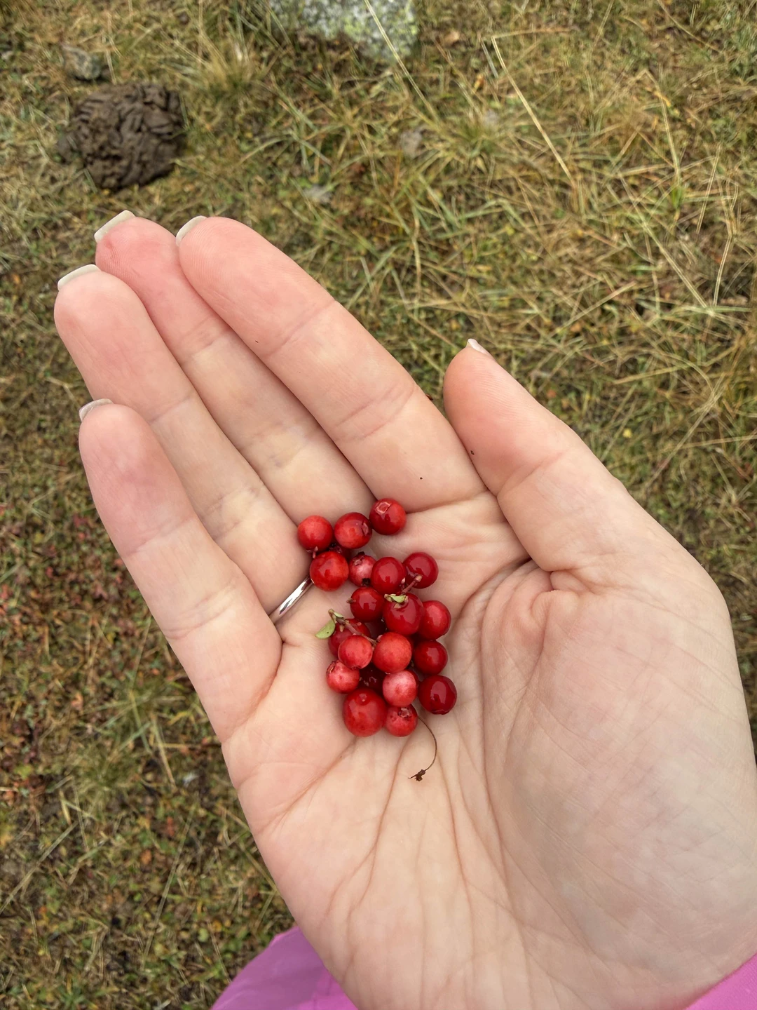 Уллу-тау встретила нас снегом, что добавило изюминку к нашей поездке. Гид Камиль окружил группу заботой и интересными рассказами о самой горе и КМВ