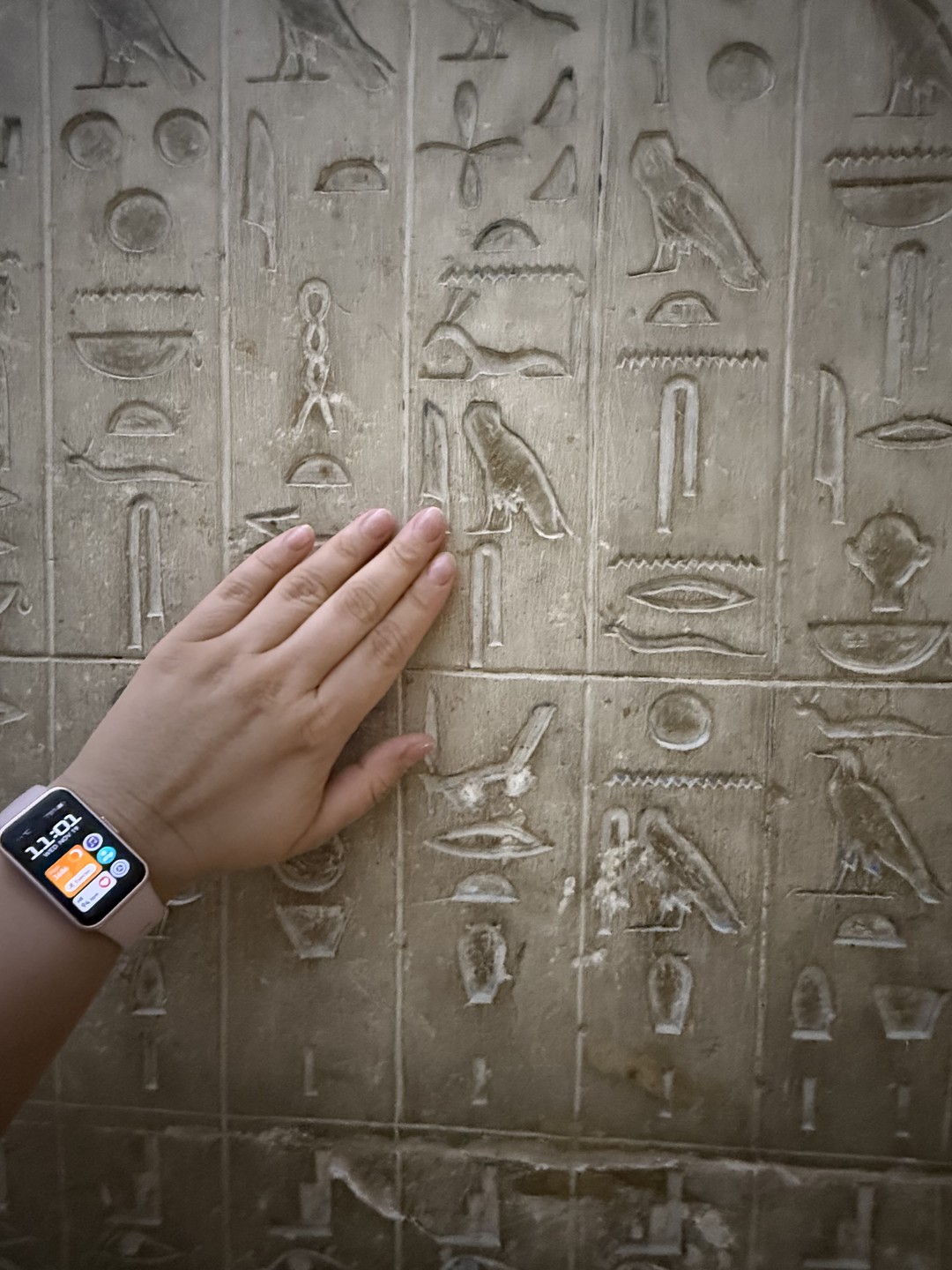 Были на экскурсии 19.11.25, бронировали примерно за 2 недели. После внесения предоплаты, гид Мухаммед сразу с