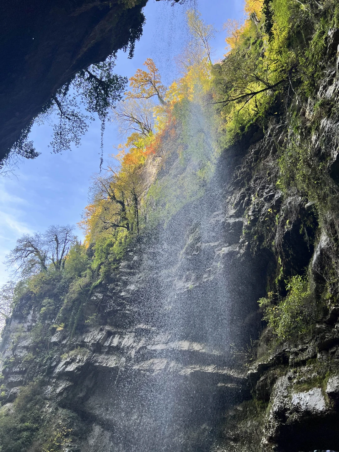 Отличная прогулка по заброшенной дороге в горах Красной поляны по осенним, залитым солнцем склонам, с заездом