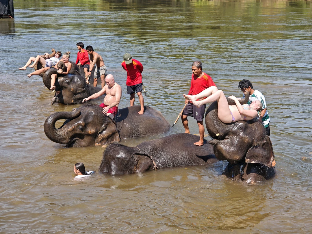 Ездили на экскурсию Река Квай на 2 дня 30-31 декабря 2025 года. Сразу скажу, что организация