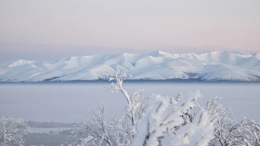 Прекрасная экскурсия, организованная Оксаной в сопровождении ее лучшего друга Дюны(ласковая, дружелюбная собака)! Оксана по пути рассказала