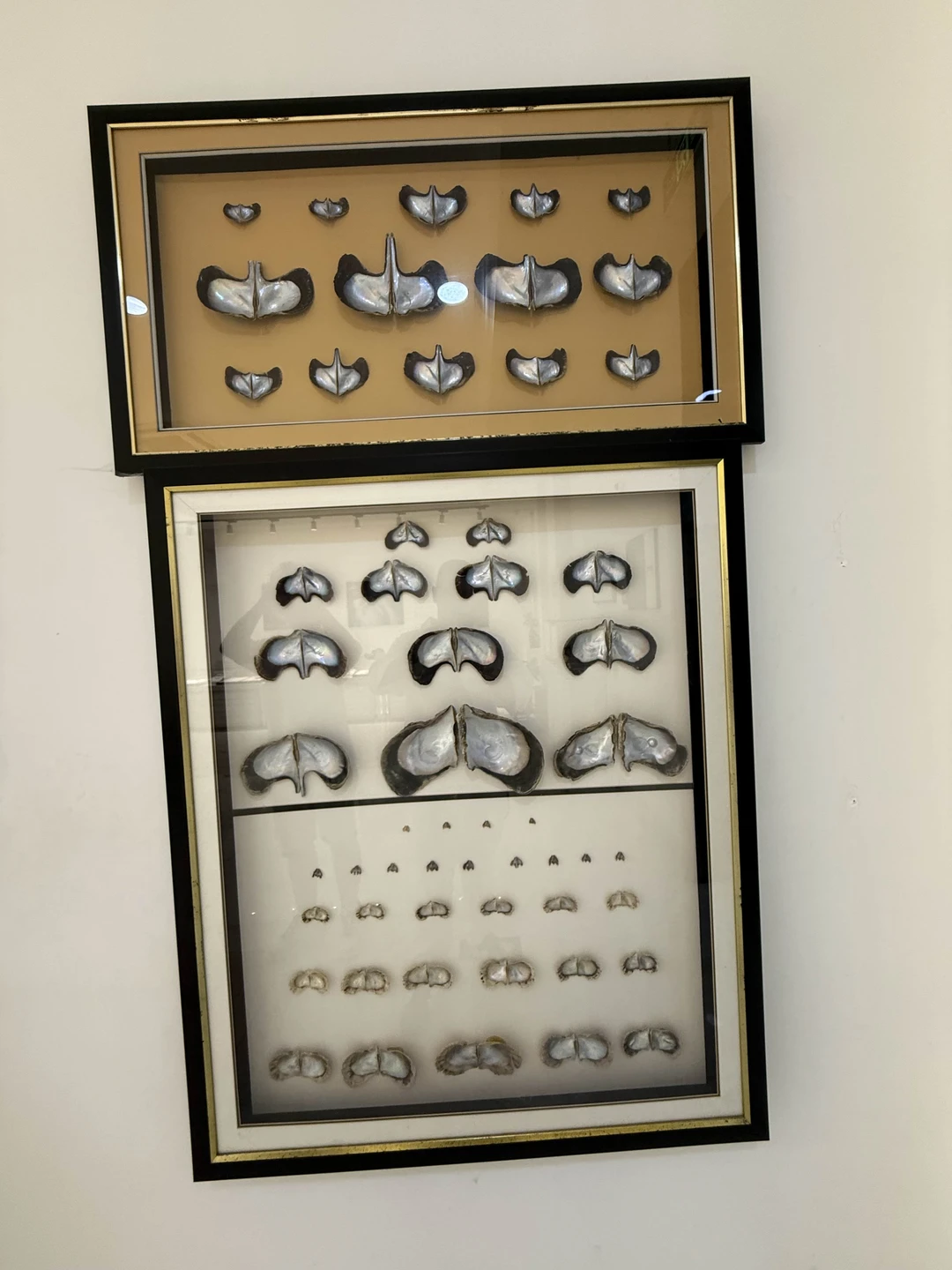 Все отлично!