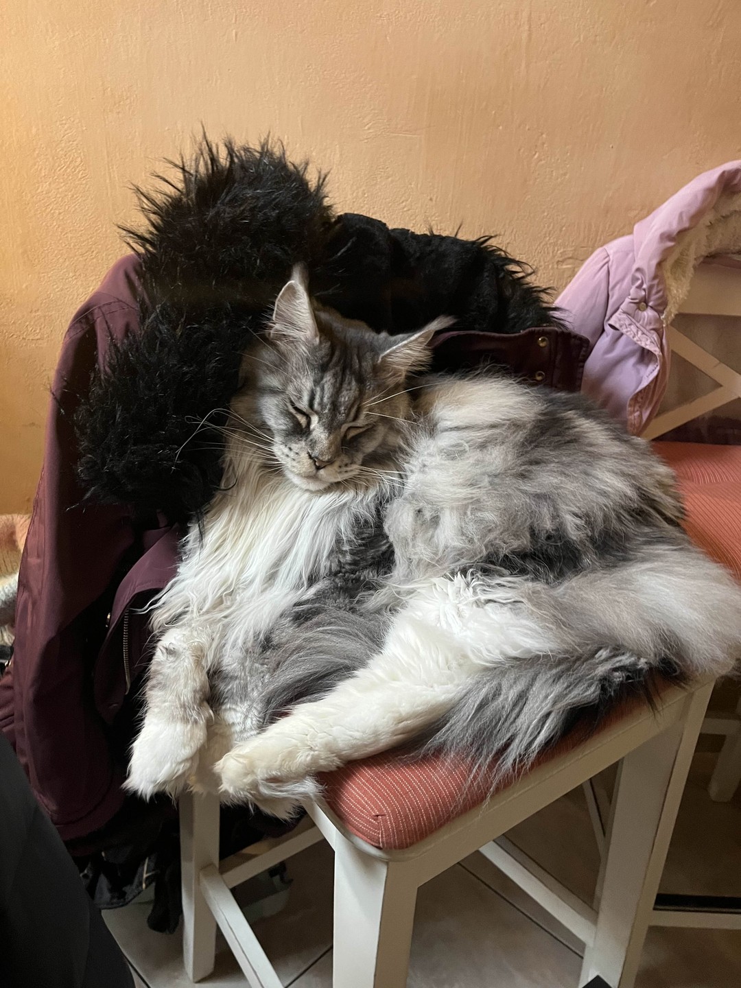 Гид интересно и доступно рассказывала. Но самое приятное: погладили котиков, попили кофе