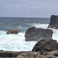 Фото отзыва 3: экскурсия "Зелёное сердце Маврикия и Pont Naturel"