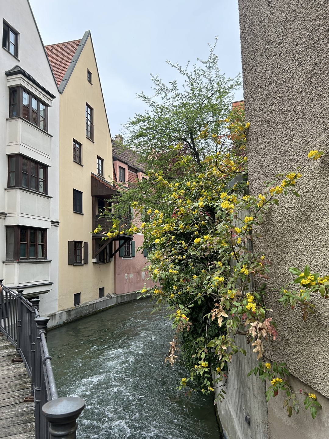 В Аугсбурге мы были впервые. В плане было всего полдня. Хотелось, чтобы кто-нибудь нам показал город.