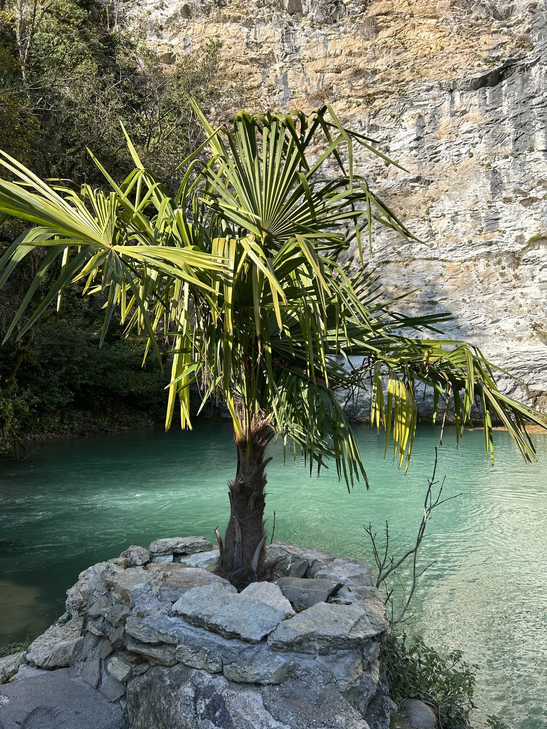Шикарный гид, шикарная экскурсия, шикарные локации. Поехал на экскурсию с гидом Вячеславом, на протяжении всей поездки