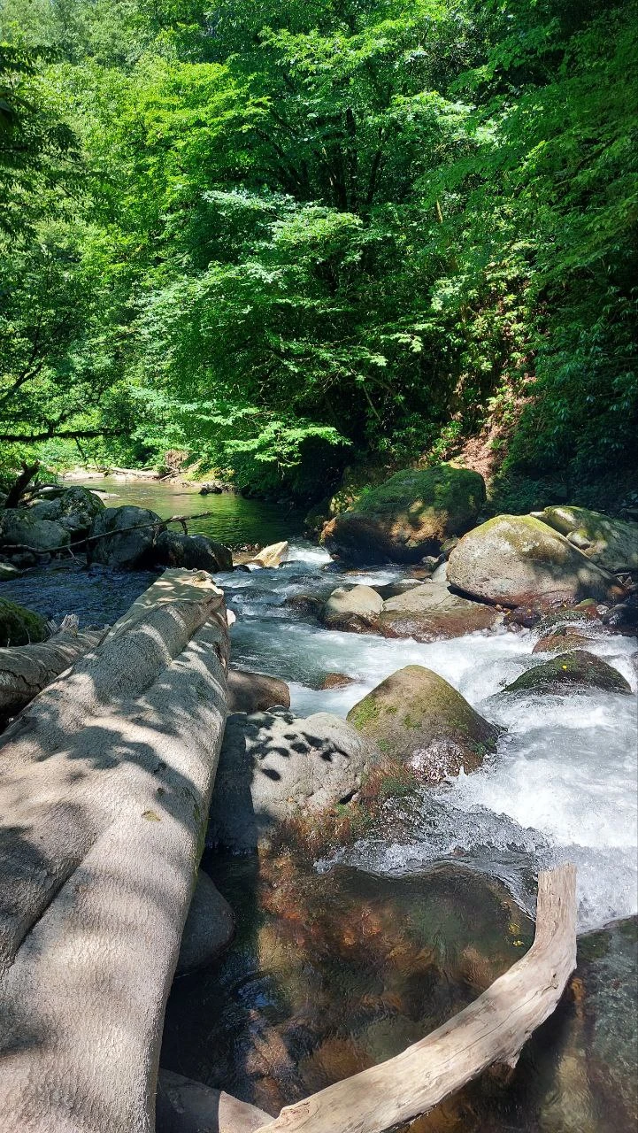 Отличное путешествие, прекрасно провели время. Федор настоящий профессионал своего дела, всем рекомендую👍👍👍