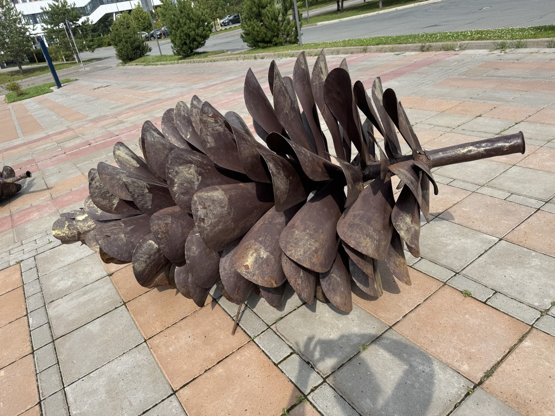 Фантастический Иннополис (Гасанова)
