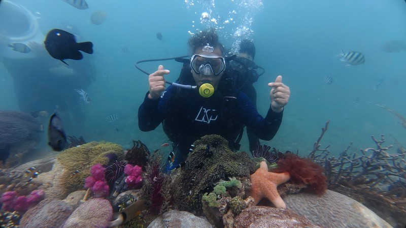 Дайвинг в Нячанге для новичков с инструктором