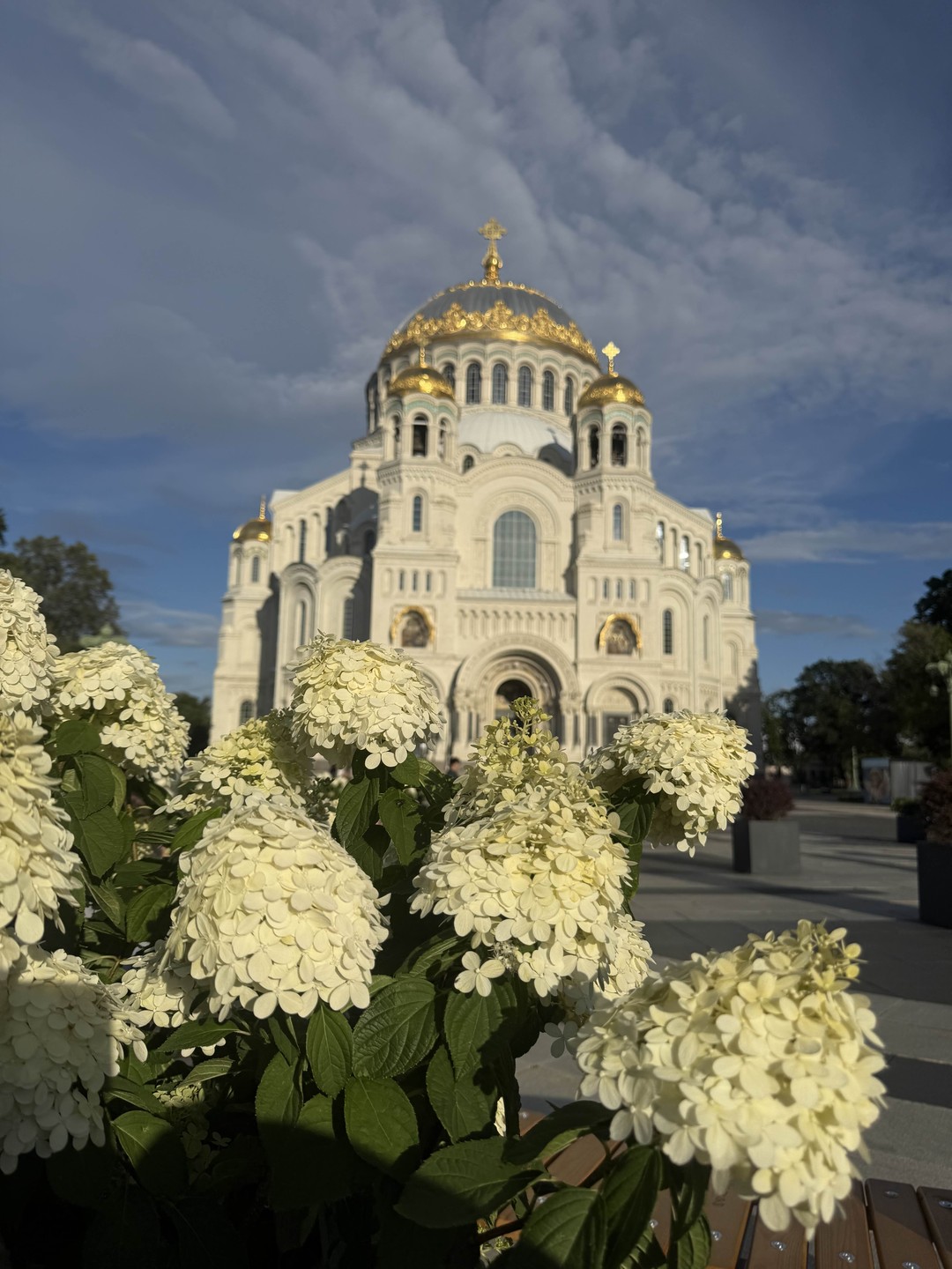 Никита - не только местный житель, искренне любящий Кронштадт, но и настоящий фанат своего дела, поэтому