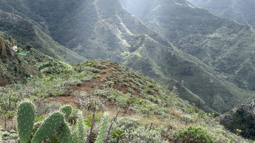 Супер компания! Виды просто космос!