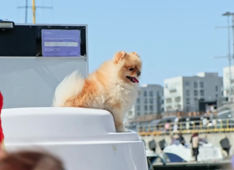 Виды Адлер: морская рыбалка, обед из улова и купание в Чёрном море