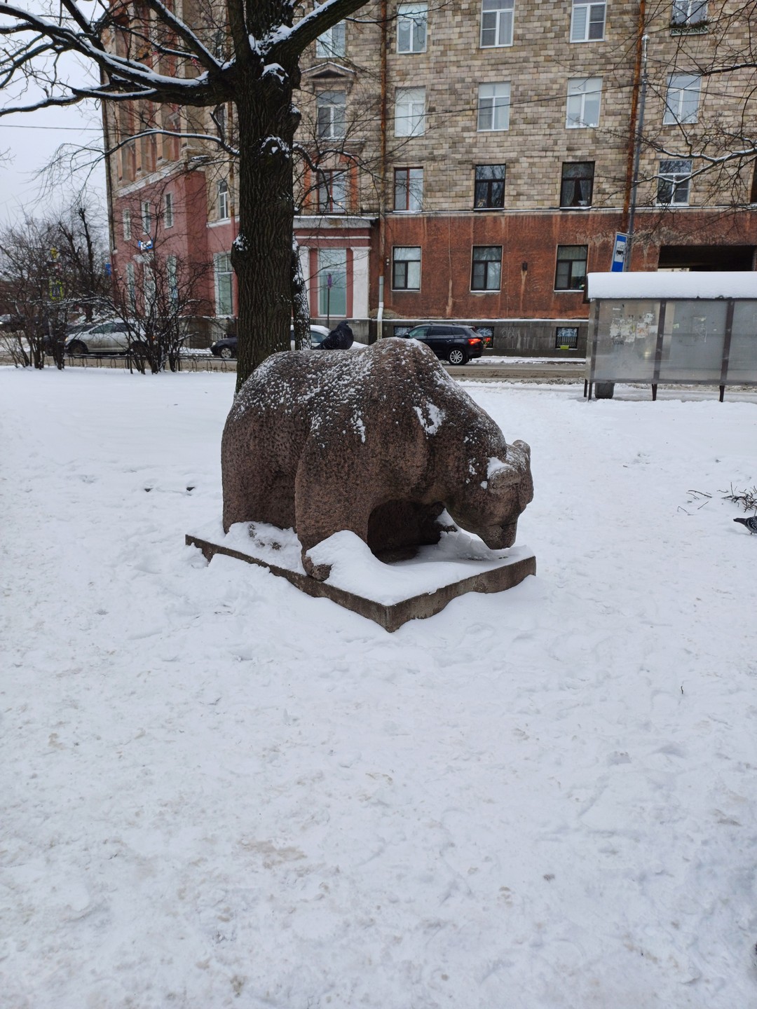 Красиво и интересно